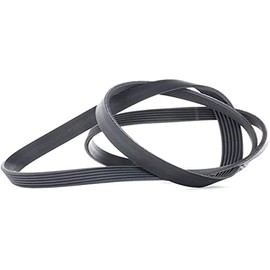 Contitech 6PK1564V-Ribbed Belt
