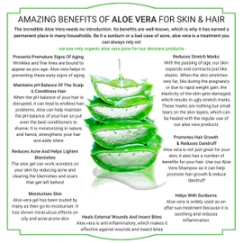 Lanzaloe Aloe Vera Shampoo 250ml