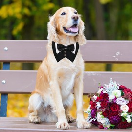 ADOGGYGO Dog Tuxedo, Wedding Birthday Dog Bowtie Collar, Pet Tux Bandana Collar for Extra Large Pets (Black, X-Large)