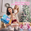gnomantic 5 Pieces Axolotl Stuffed Animals with Babies Inside Belly