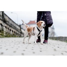 Chaba Guard Dog Harness for Large Dogs with Control, Anti-Pull & Choking, Adjustable, Comfortable and Lightweight, Classic Step-in Chest Harness, Running Harness, Size XL, Black