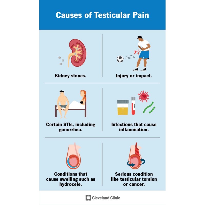 Organico Herbal para hombres machos - Made in USA -