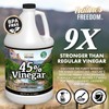 Nature's Freedom 45% Concentrated Vinegar, 1 Gallon with Garden Pump