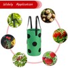 Cozioz 3-Pack Upside Down Hanging Tomato Planters – 3 Gallon