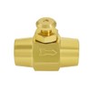 BesNPT Brass 1/4" NPT Female x 1/4" NPT Female Push