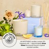 Apotheke Luxury Scented Candles for Home, Canvas - Petite Aromatherapy