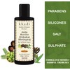Satvayush Khadi Amla Reetha Shikakai Bhringraj SLS-Paraben free Ayurvedic Shampoo