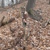 Ghostblind Height Extenders, 1-Pair (Fits Predator Blind Only)