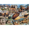 Ceaco - Wild - America The Wild - 1000 Piece