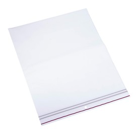 Minigrip Red Line MGRL4PH1012 Polyethylene (LDPE/LLDPE Blend) Clear Reclosable Bag, Hang Hole, 12" Length, 10" Width (Pack of 500)