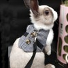 Rabbit Soft Breathable Harness with Lead, Pet Rabbit, Small Animal