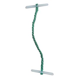 5 Star Treasury Tags Plastic-ended 76mm Green [Pack of 100]