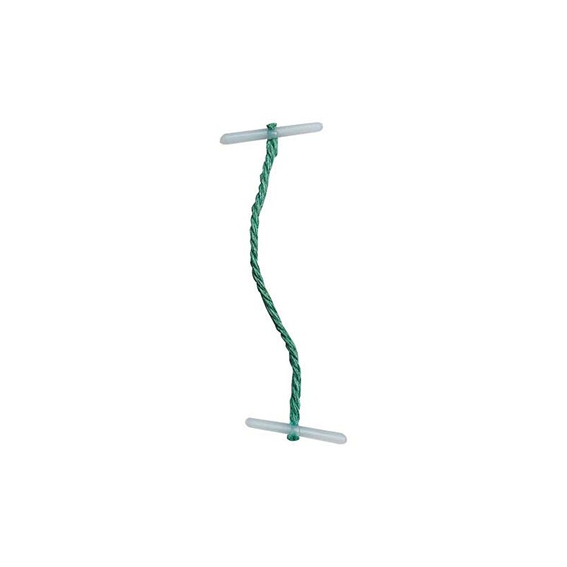 5 Star Treasury Tags Plastic-ended 76mm Green [Pack of 100]