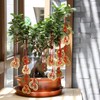 Nimomo Chinese Lucky Coin, I Ching Coins, Traditional Feng Shui