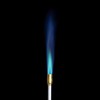 Bernzomatic 19425 JT850 Self-Igniting 20,000 BTU Outdoor Torch (JT850)