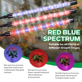 4-Head Floor Grow Lights for Indoor Plants - 15"-63" Tripod, Red/Blue Spectrum & Remote Control - Auto 4/8/12H Timer, 10 Dimmable Levels for Tall Potted Trees (4-Head)