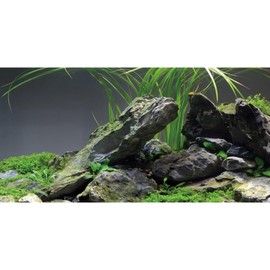 AWERT 72x18 inches Stone Aquarium Background Stone Aquatic Plant River Bed & Lake Seaweed Aquarium Vinyl Background Fish Tank Background