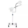 ArtistHand 2IN1 Facial Steamer 5x Magnifying Lamp Hot Ozone Salon