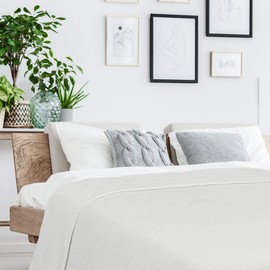 Linteum Textile Supply Thermal Blanket (White, Queen) Long Lasting and Durable Snag-Free Soft Blanket, Made from 100% Cotton Material for Home, Hospitals, 90x90 Inches