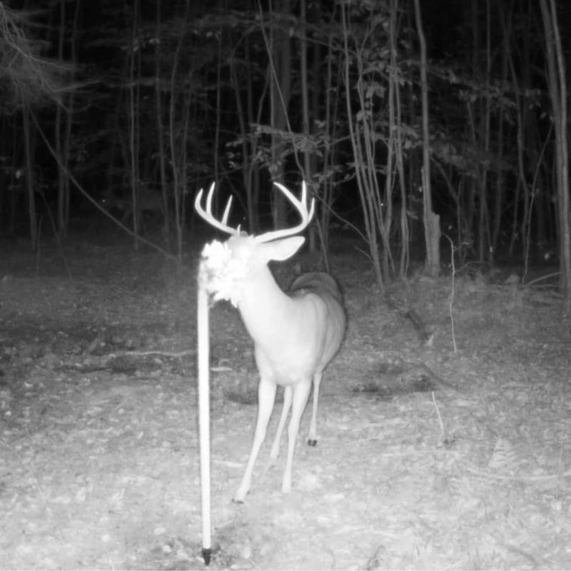 Heated Hunts Rigid Mock Scrape Post Kit with Synthetics Scents