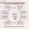 Multi Collagen Peptides Powder, 16 Oz - Hydrolyzed Protein Peptides