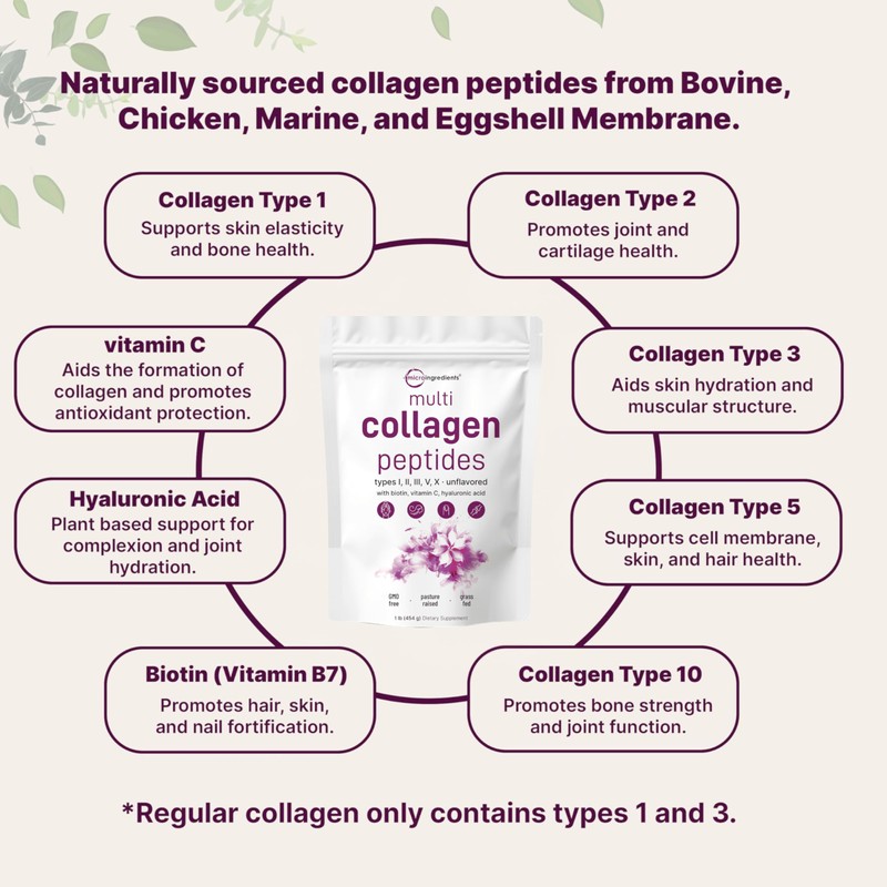 Multi Collagen Peptides Powder, 16 Oz - Hydrolyzed Protein Peptides