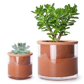 Phoenix Vine 4 Inch 6 Inch Self Watering Plants Pots, Design Terracotta Pots for Plants, Indoor Cylinder Terra Cotta Planter with Glass Vase Set, 51-A-G