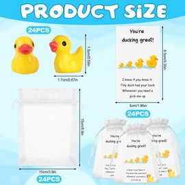 24 Sets Employee Appreciation Gifts Bulk Include 24 Mini Resin Ducks 24 You're Great Ducking Cards 24 Organza Bags Animal Thank You Gift Back to School Gift for Teacher Coworkers Staff Pocket Favors