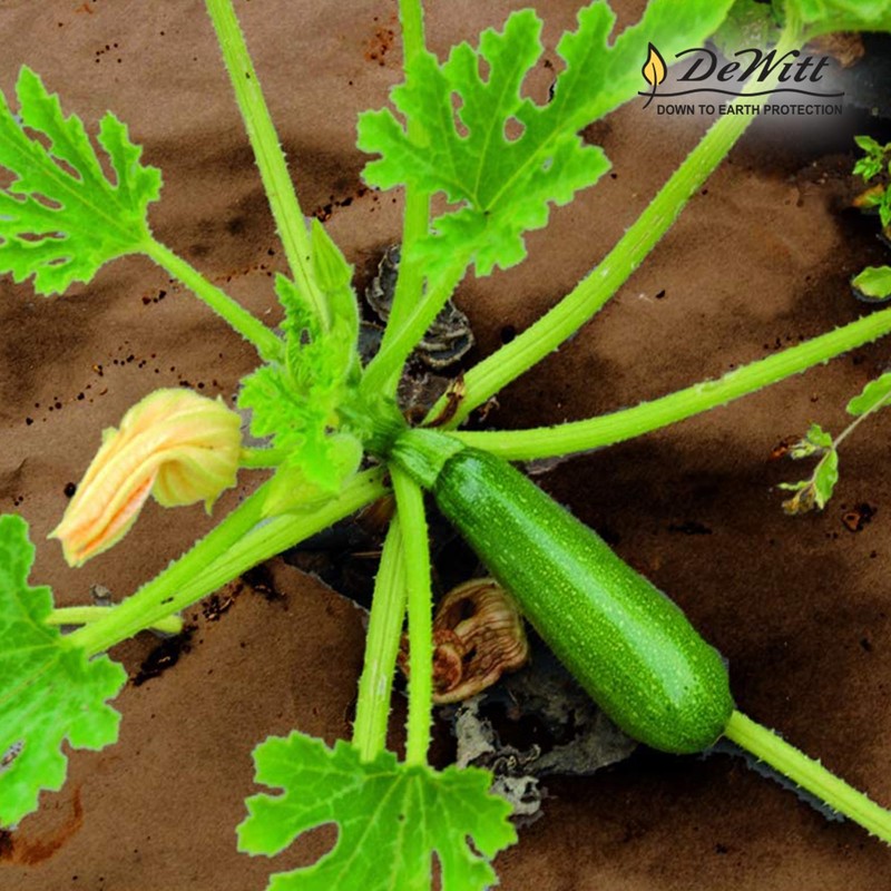 DeWitt Garden Weed Barrier Natural Paper Mulch, Black, 3 x