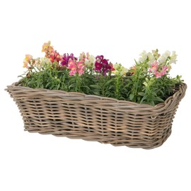 Kouboo Rectangular Rattan Planter Basket - 2.5 Gallon Capacity Plastic Pot Liner with Drain Holes Included - No Saucer - Indoor and Outdoor Use