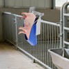 FTUREPAC Pig Castration Rack Tools, Piglet Castration Tools, Stainless Steel