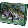 Cobble Hill 1000 Piece Puzzle - Orcas - Sample Poster
