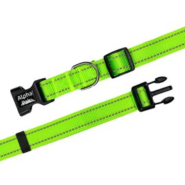 Alpha Pak | Dog Collar | Lightweight, Fast-Drying, Durable | Kiwi Green | Medium
