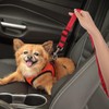 Lollanda Car Seat Belt, Dog Seat Belt for Car Seats