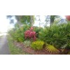 Ready for Outdoors - Patio - Indoor Container 2 small