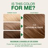 Naturigin Permanent Hair Color, 7.0 Medium Blonde, Ammonia Free, 100%