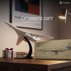 1:100 Scale TU-160 Boomber Quick Assembly Model Kit, Plastic TU-160