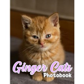 Ginger Cats Photobook: Collection 40 Illustrations Pages for Pets Cat Book for Decoration | Gifts for Birthday, Christmas for Relaxation