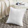 Fancy Homi Set of 2 White Decorative Throw Pillow Covers