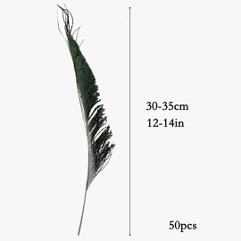 50pcs Natural Peacock Sword Feathers 12-14 Inch for Hat DIY Crafts Arts Wedding Party Home Decor Vase Decoration Floral Arrangements Christmas Tree Ornaments