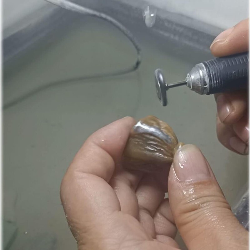 Inovsolid 50 Pcs T Shape Wire Brush Set 1/8'' Shank