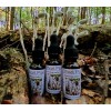 Ghost Pipe Tincture 4oz Harvested In Pennsylvania FREE Shipping