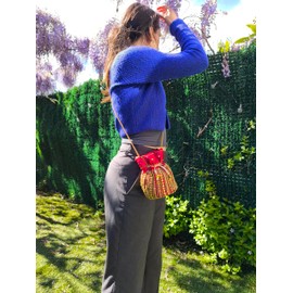 belelle HIndu Candy Bag for Women Party Handbag for Women Gold Bag Shoulder Bag Sacks Wedding Christmas, red