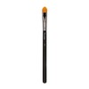 Picasso 피카소 195 컨실러 Picasso 195 Concealer