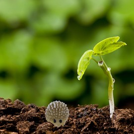 VORCOOL 10pcs Miniature Landscape Ornament Garden Decoration Resin Hedgehog