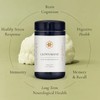 Superfeast Lion's Mane 100g