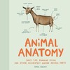 Animal Anatomy: Sniff Tips, Running Sticks, and Other Accurately Named