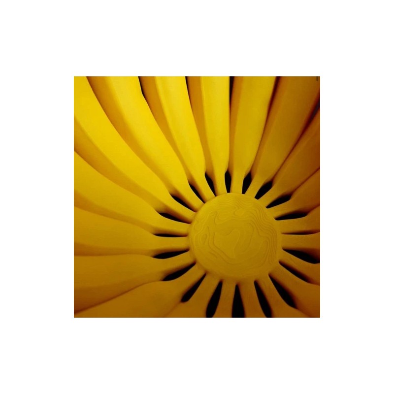 Unmarked Banana Bowl