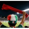2 Pelucas Peluca Tricolor México Mundial Para Fiestas Tricol