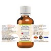 Greenwood Essential Pure Pine Essential Oil (Pinus sylvestris) Steam Distilled
